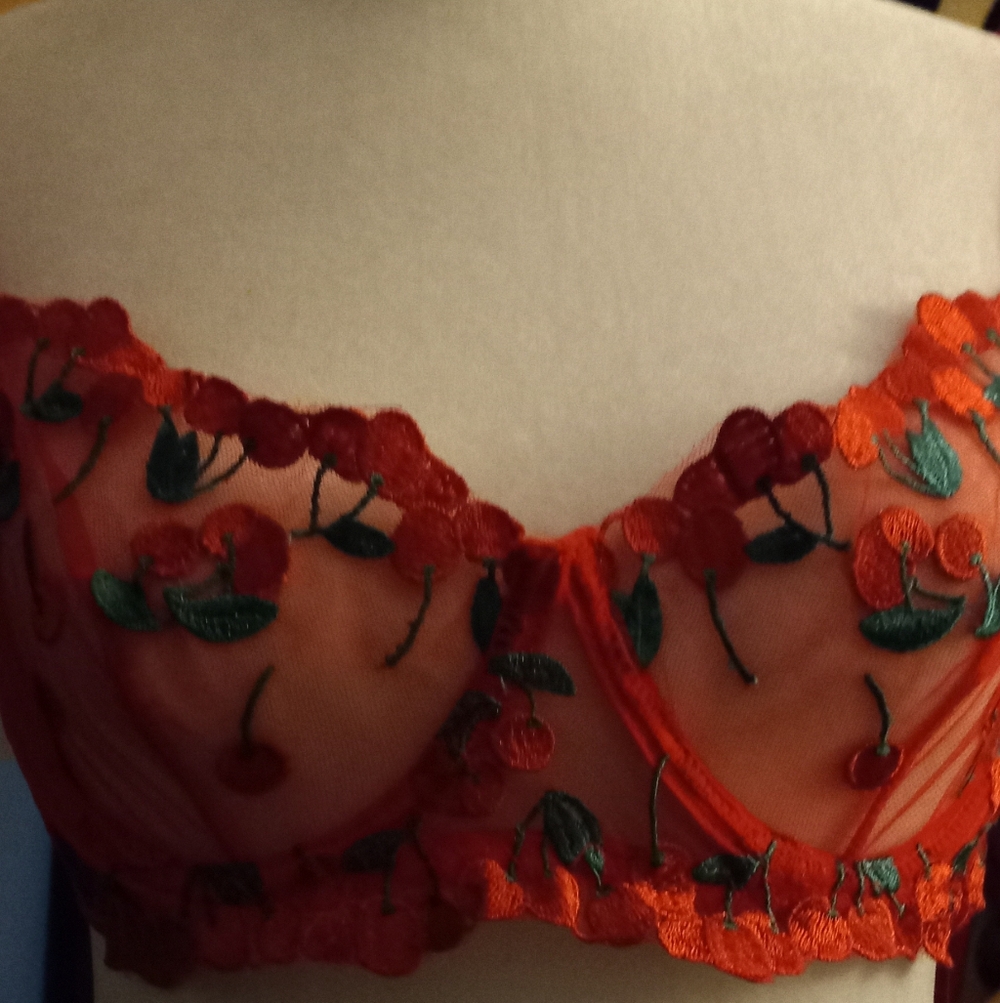 New,red sheer mesh cherries  embroidered underwire bra & thong lingerie size med - Picture 13 of 13
